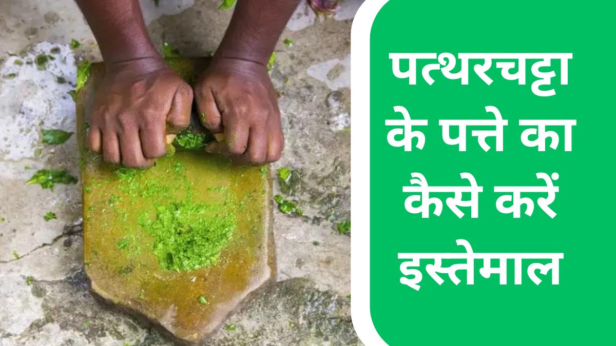 patharchatadi juice uses in hindi